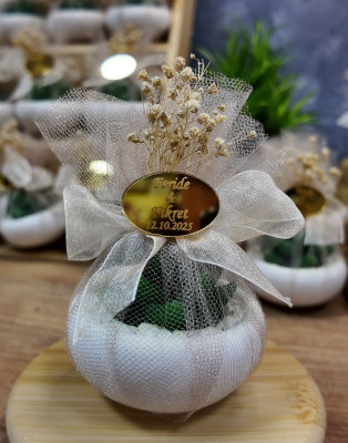 sukulent mum nikah hediyelik