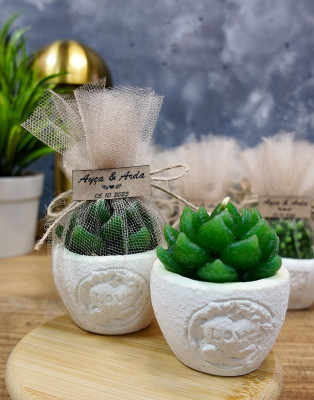 nikah hediyelik sukulent mum